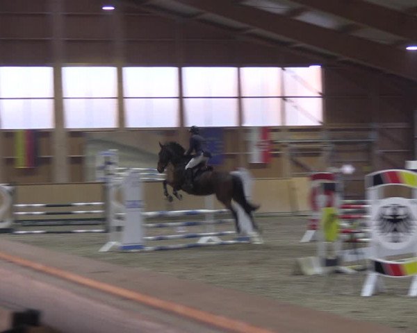 Reitturnier Polzow 2021