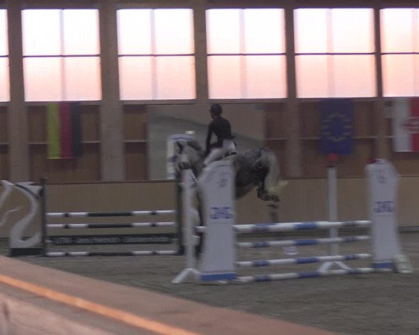 Reitturnier Polzow 2021