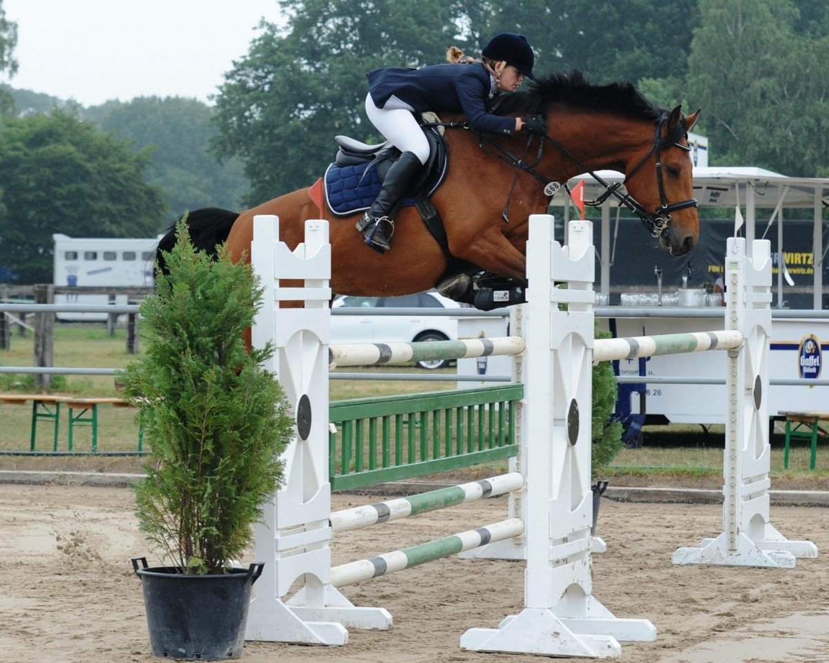 Pferd Raffaello 39 (KWPN (Niederländisches Warmblut), 2002, von Rubert R)