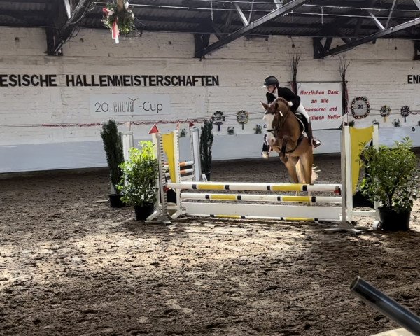 dressage horse Paid for Pleasure (German Riding Pony, 2019, from Basall)