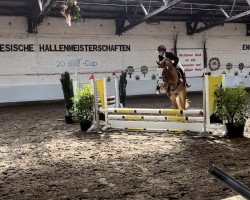 dressage horse Paid for Pleasure (German Riding Pony, 2019, from Basall)