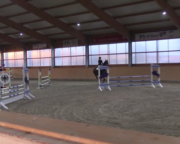 Reitturnier Polzow 2021