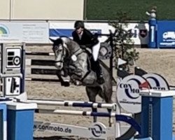 jumper Quicenta (Rhinelander, 2017, from Quipeggio)