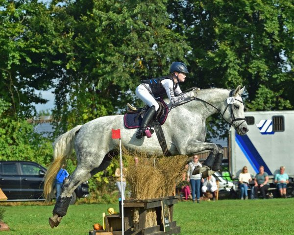 broodmare Tamina (Trakehner, 2008, from Interconti)