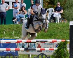 jumper Chaka Zulu 6 (Rhinelander, 2010, from Congress)