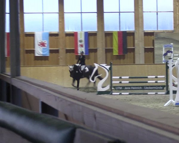 Reitturnier Polzow 2021