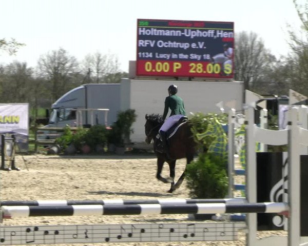 Reitturnier Nienberge 2023