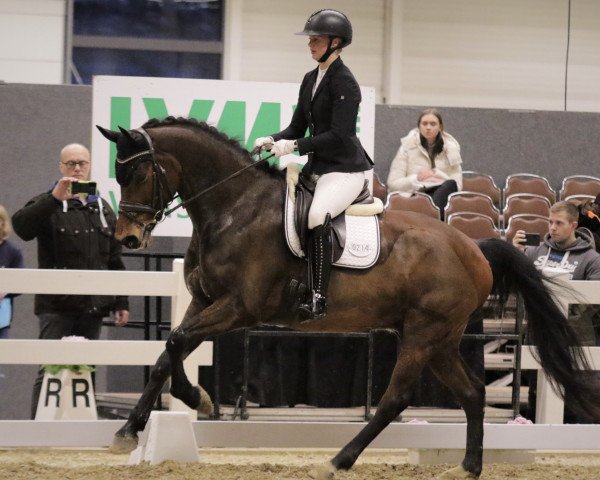 Dressurpferd Lerryal (KWPN (Niederländisches Warmblut), 2016, von Numero Uno)
