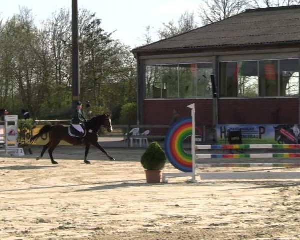 Reitturnier Nienberge 2023