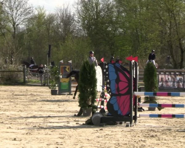 Reitturnier Nienberge 2023