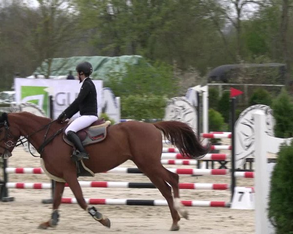 Reitturnier Nienberge 2023