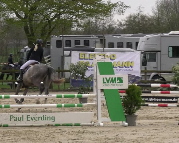 Reitturnier Nienberge 2023