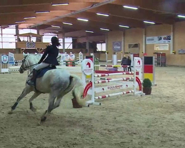 Reitturnier Grafenrheinfeld/Ufr. 2021