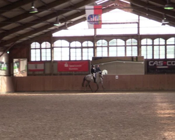 Reitturnier Elisenau 2021