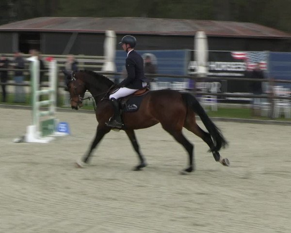 Reitturnier Diepholz 2023