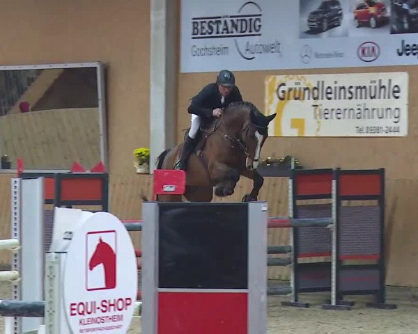 Reitturnier Grafenrheinfeld/Ufr. 2021