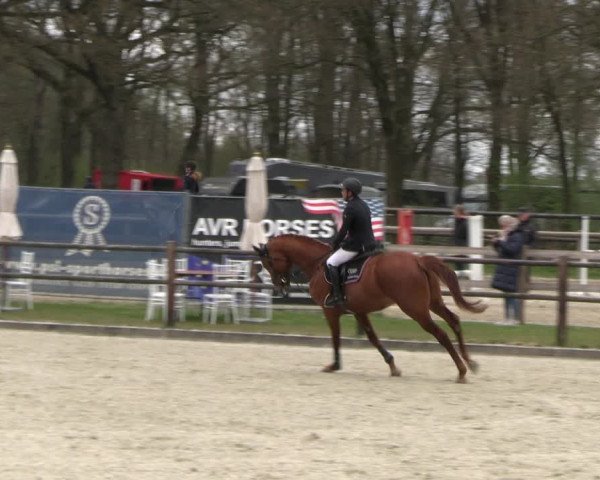 Reitturnier Diepholz 2023