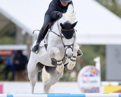jumper Be Eskada (anglo european sporthorse, 2017, from Cornet Obolensky)