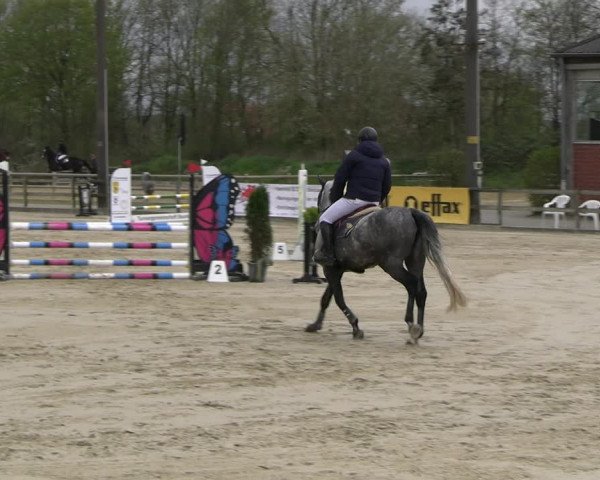 Reitturnier Nienberge 2023