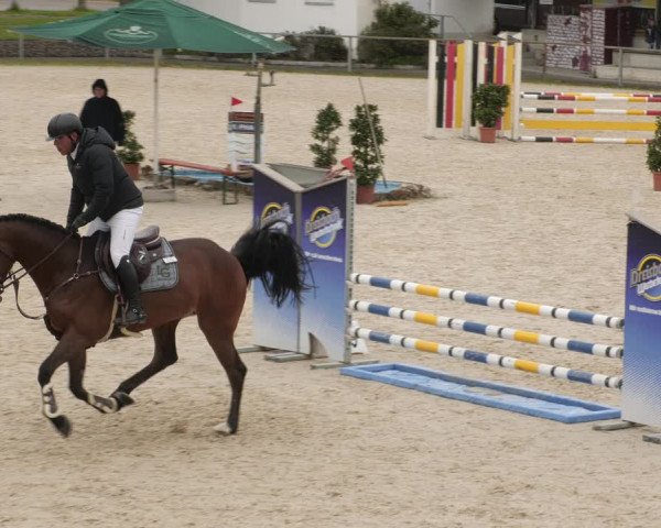 Reitturnier Ingolstadt-Hagau/Obb. 2023