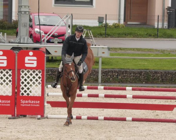 Reitturnier Ingolstadt-Hagau/Obb. 2023