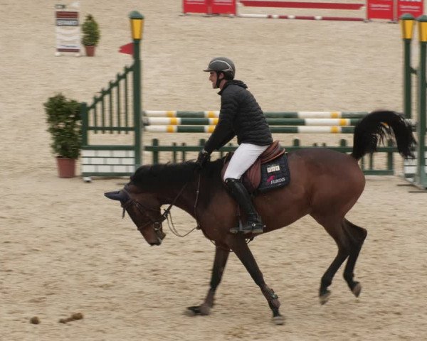 Reitturnier Ingolstadt-Hagau/Obb. 2023