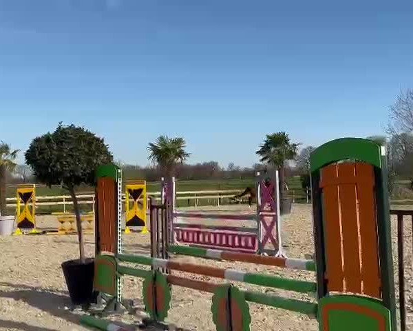 Video of Cristal's Colada