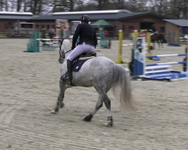 Reitturnier Diepholz 2023
