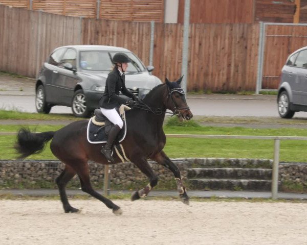 Reitturnier Ingolstadt-Hagau/Obb. 2023