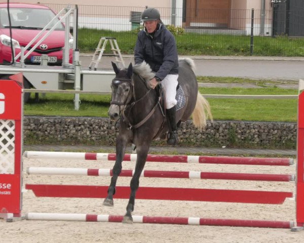 Reitturnier Ingolstadt-Hagau/Obb. 2023