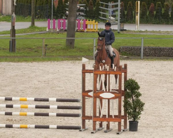 Reitturnier Ingolstadt-Hagau/Obb. 2023