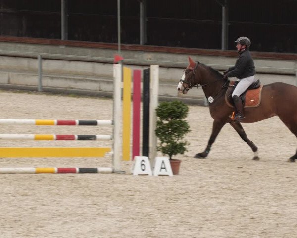 Reitturnier Ingolstadt-Hagau/Obb. 2023