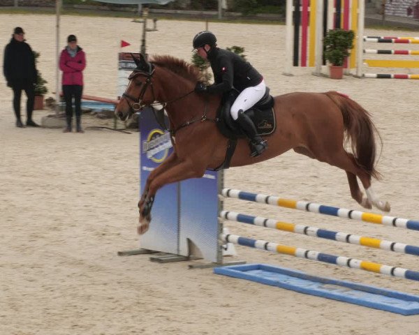 Reitturnier Ingolstadt-Hagau/Obb. 2023