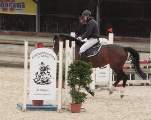 Reitturnier Ingolstadt-Hagau/Obb. 2023