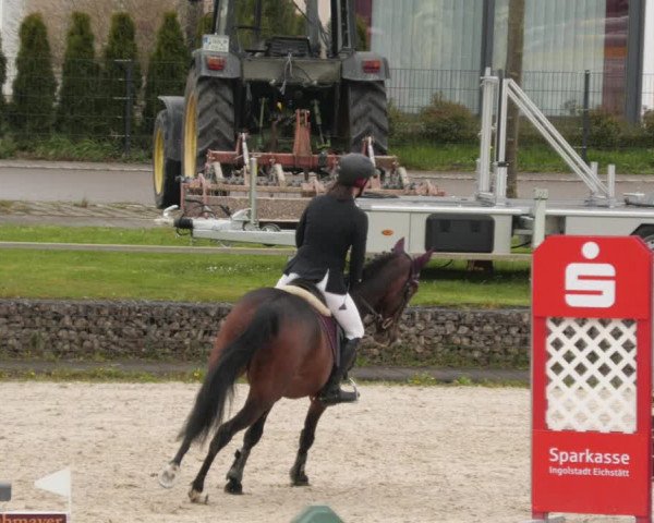 Reitturnier Ingolstadt-Hagau/Obb. 2023