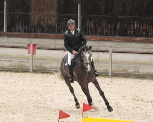 Reitturnier Ingolstadt-Hagau/Obb. 2023