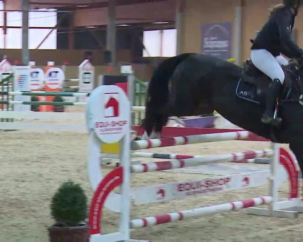 Reitturnier Grafenrheinfeld/Ufr. 2021