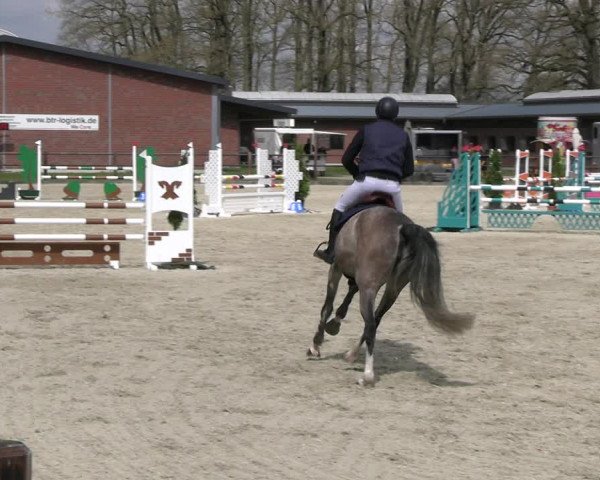 Reitturnier Diepholz 2023
