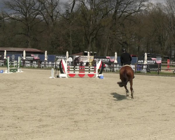 Reitturnier Diepholz 2023