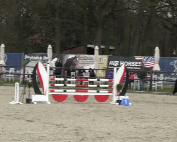 Reitturnier Diepholz 2023