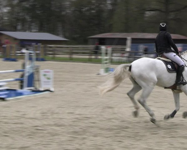 Reitturnier Diepholz 2023