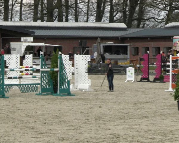 Reitturnier Diepholz 2023