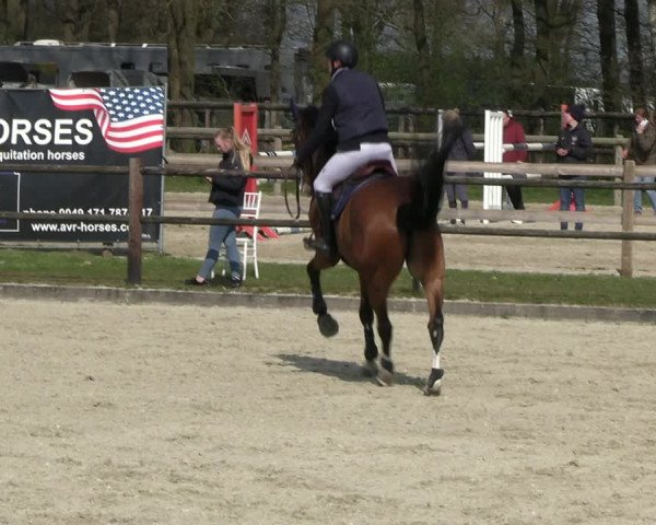Reitturnier Diepholz 2023