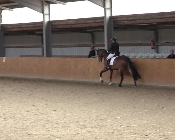 Reitturnier Schlieckau 2023