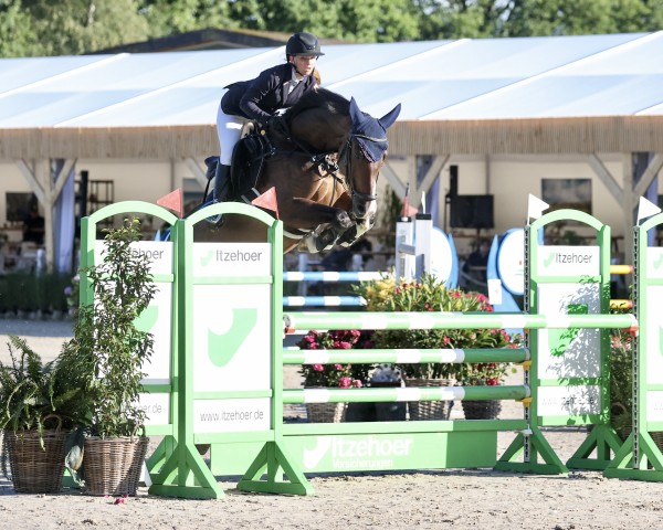 jumper Chuck Bass (Rhinelander, 2011, from Chirivell)