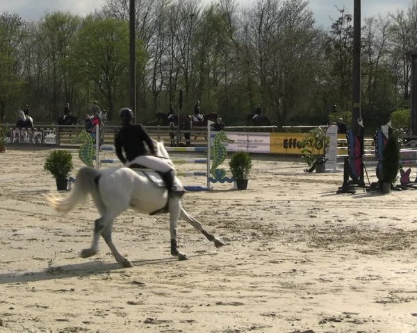 Reitturnier Nienberge 2023