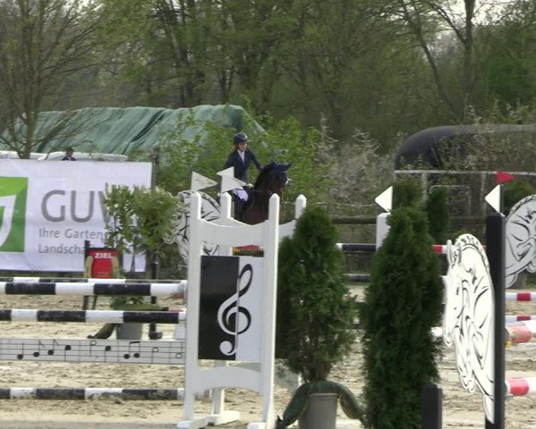 Reitturnier Nienberge 2023