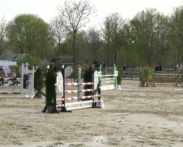 Reitturnier Nienberge 2023
