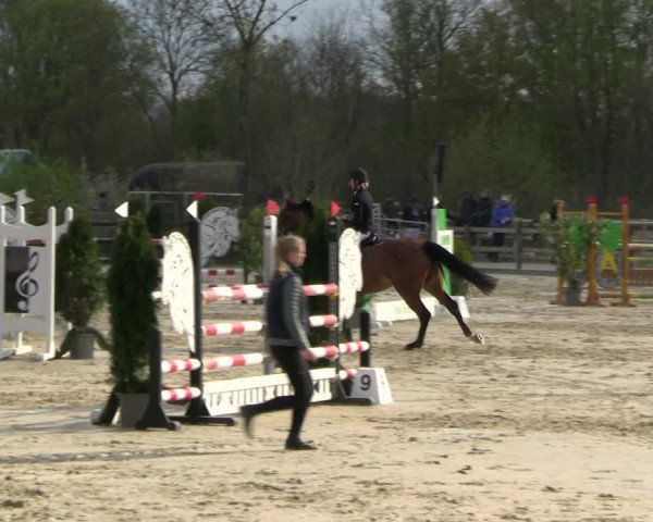Reitturnier Nienberge 2023