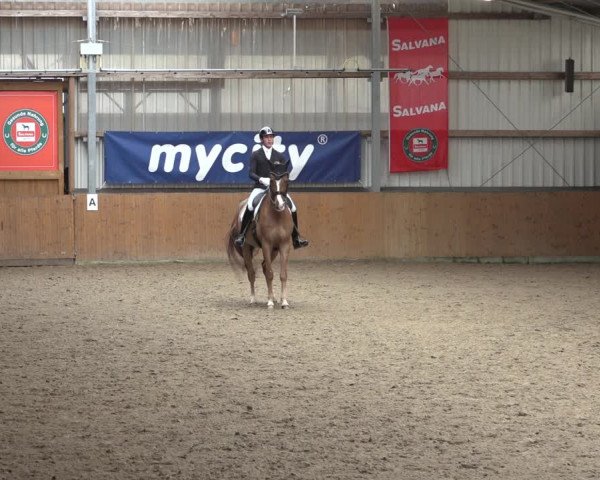 Reitturnier Schlieckau 2023